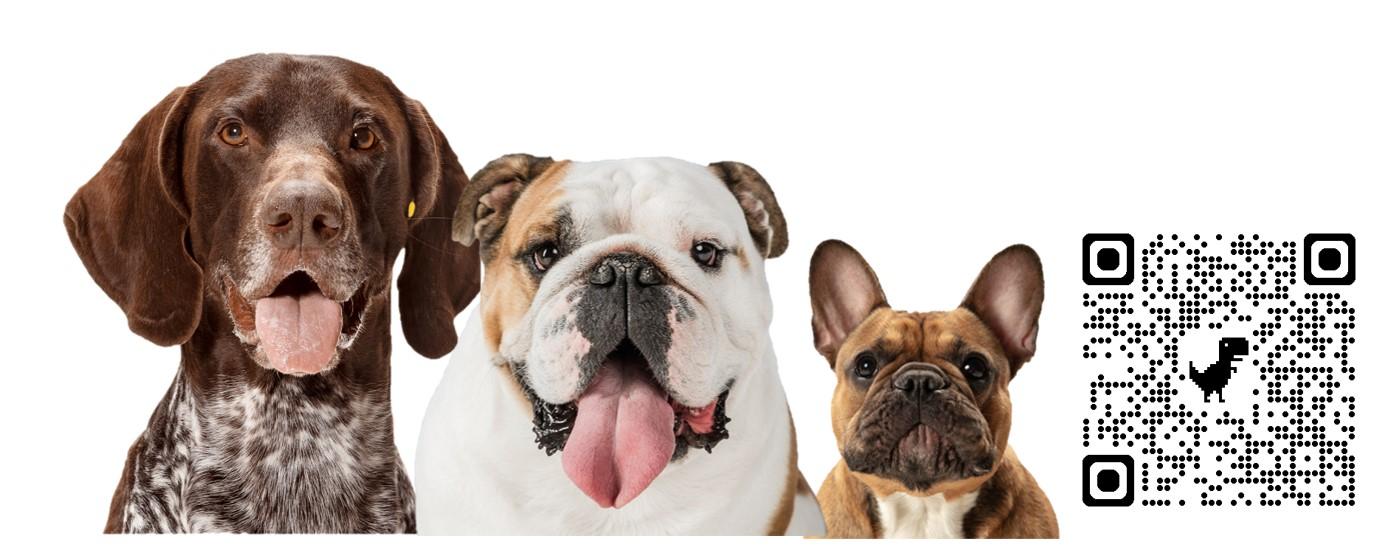 PIC NEWS Dog fouling QR code
