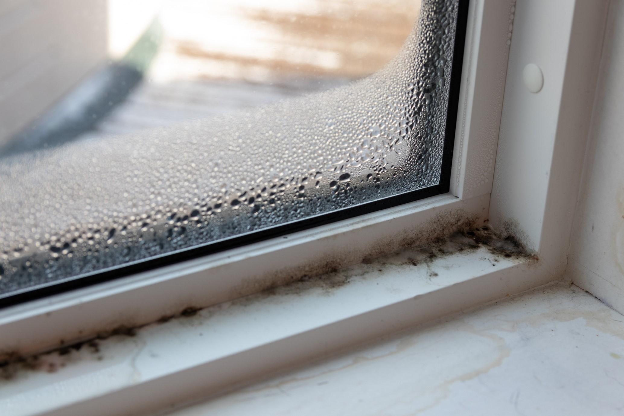 PIC - REPAIR - condensation sitting on window ledge