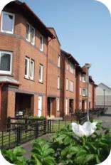 PIC - STOCK - row of red brick buildings with white flower at front